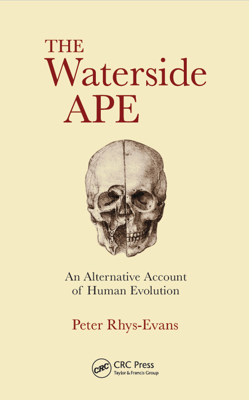 The Waterside Ape - an alternative account of human evolution